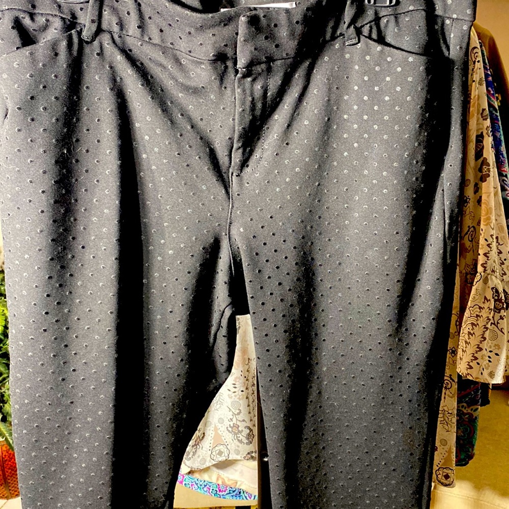 Old Navy Pixie dress pants 16